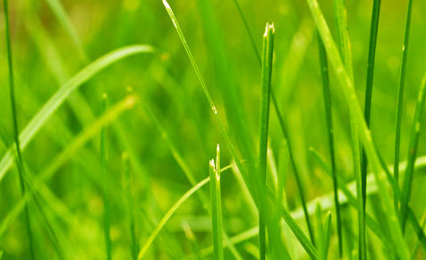 天天陪着您的在线轰炸机电话软件